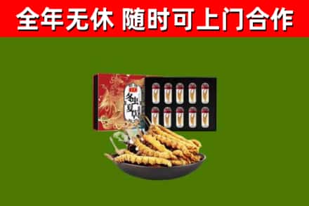 绿园回收冬虫夏草价格